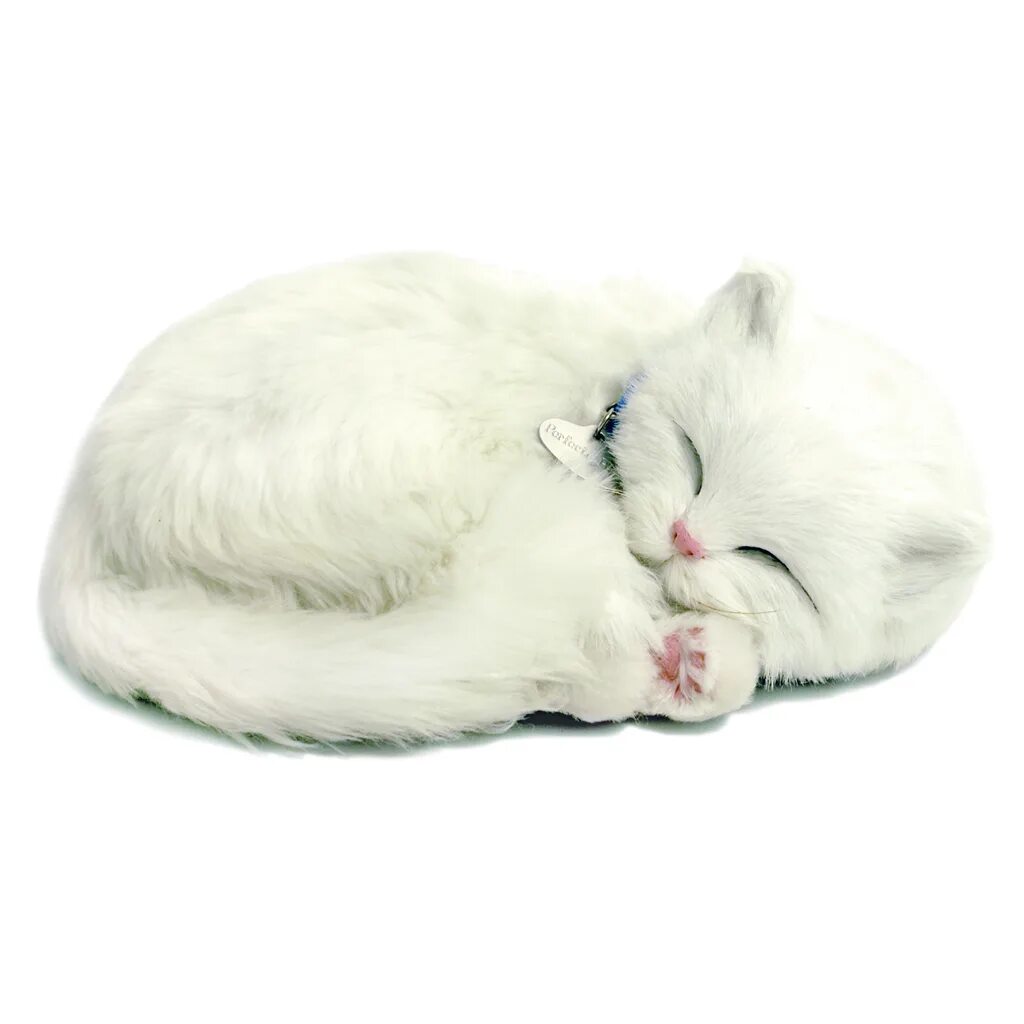 потомство кошачьих. тоннель кровать шерсть кот. дышащие котята. кормящая кошка. питомцы perfect petzzz.