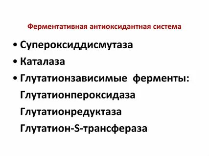 Ферментативную запасающую энергетическую