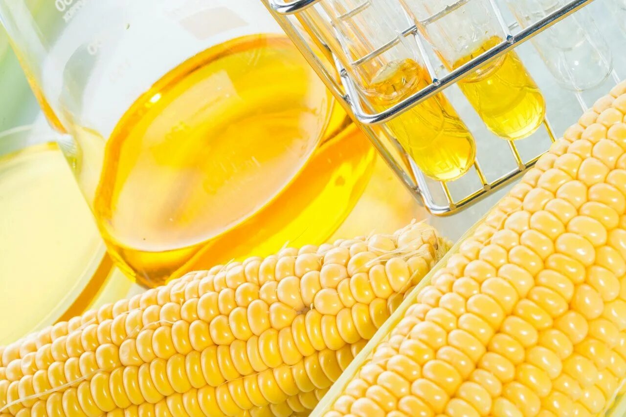 Corn oil. Кукурузное масло. Кукурузный сироп. Кукурузное масло в медицине. Кукурузная патока.