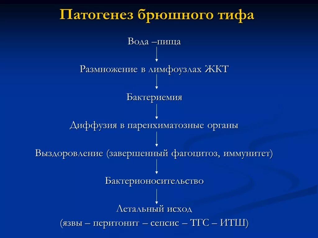 Фазы патогенеза брюшного тифа. Salmonella typhi патогенез. Стадии патогенеза брюшного тифа. Этапы патогенеза брюшного тифа. Исходы патогенеза