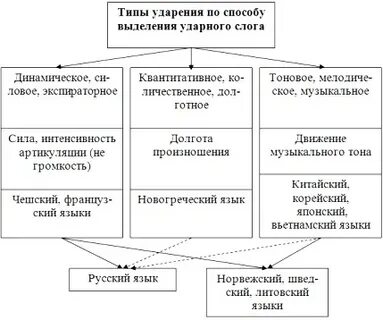Виды ударений в русском языке