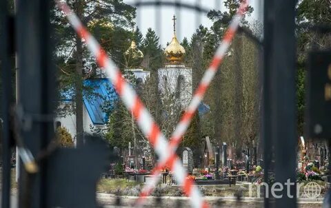 Северное кладбище санкт петербург метро
