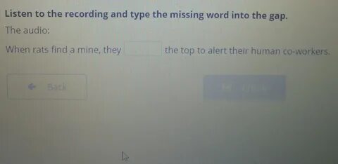 What words are missing