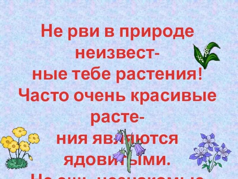 Не рви ядовитые растения. Не рви растения. Не рвите незнакомые растения. Внимание растение не рвать ядовитое.