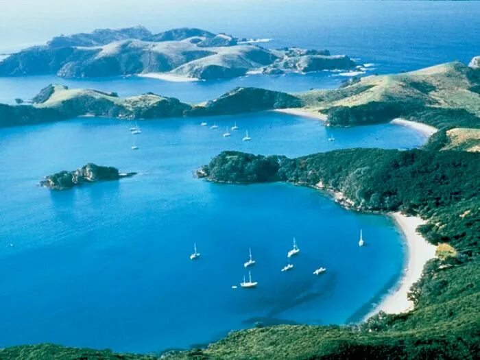 Новые острова отзывы. Bay of Islands New Zealand. Новая Зеландия красивые места. Лафатеновые острова. Форлановые острова.