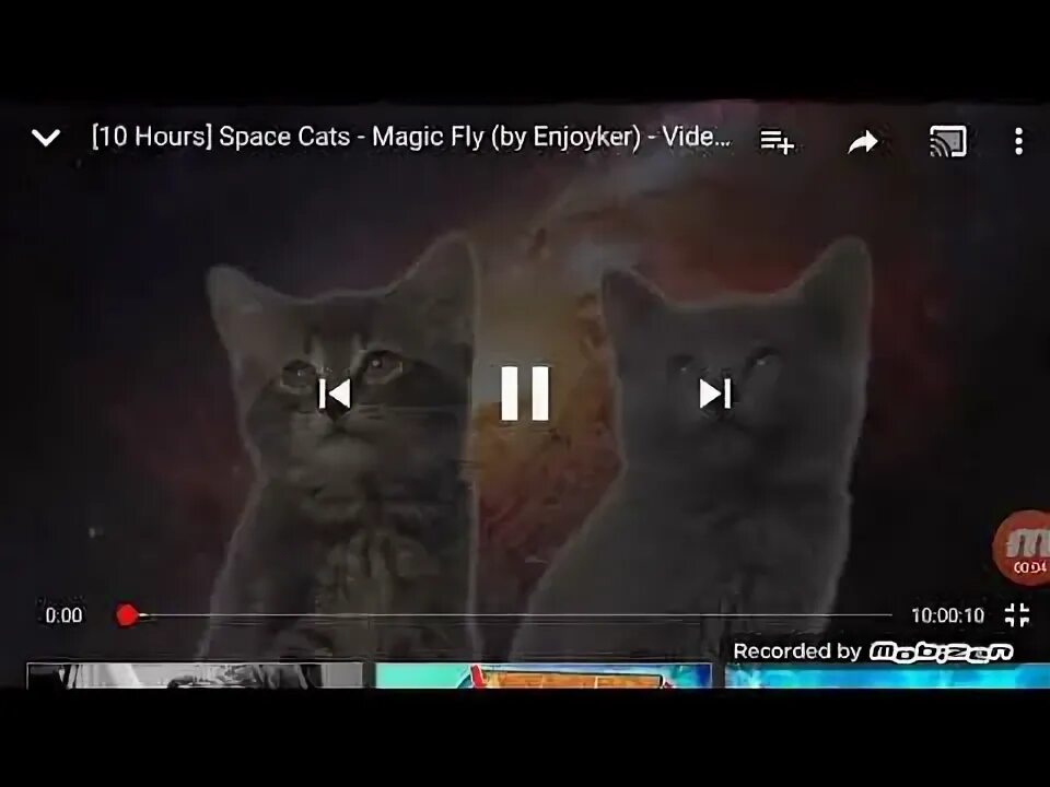 Space Cats Magic Fly by Enjoyker. Трек из мяуканья кота. Трек из кота мяуканья кошечки поют. Мелодия из мяуканья кота. Мяуканье котят мп3