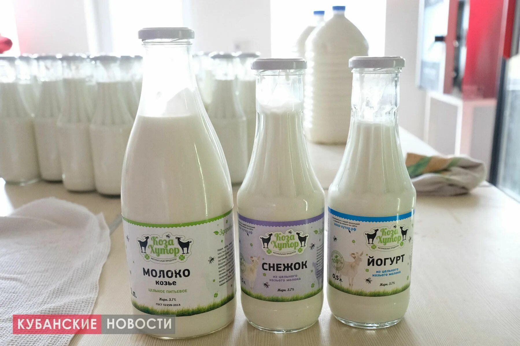 Авито молочный