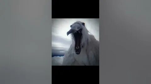 Видео 2027