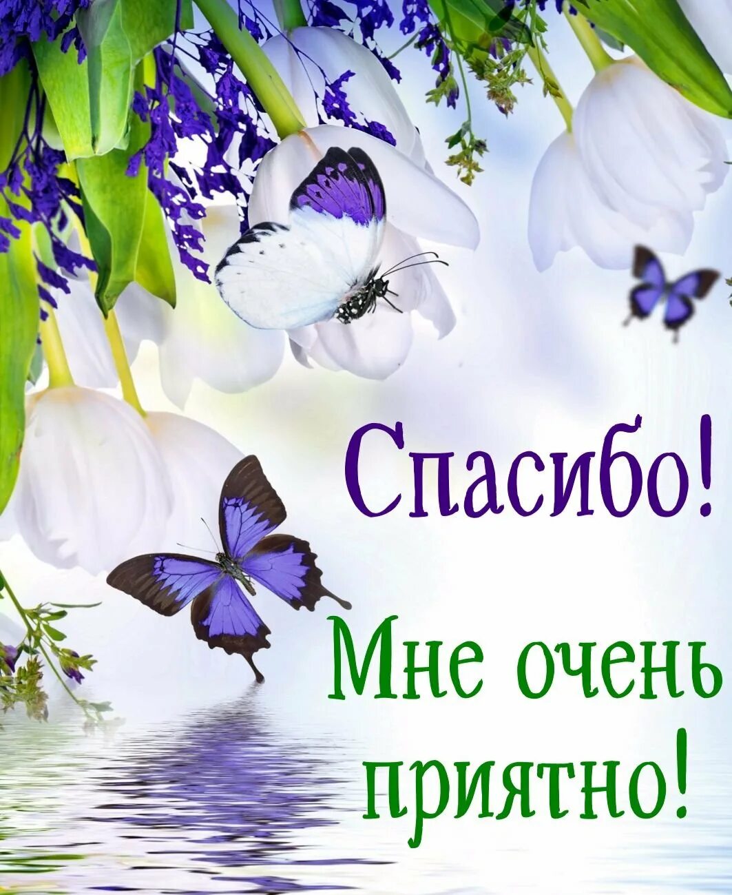 Отблагодарить. Открытки с благодарностью. Спасибо очень приятно. Спасибо за поздравления. Открытки с благодарностью спасибо.