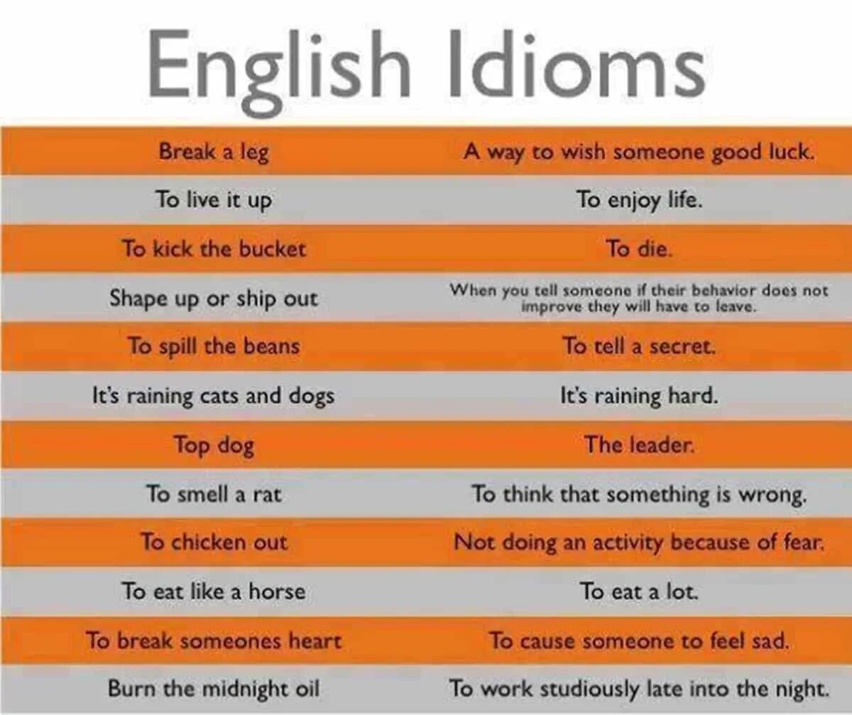 Is it good to eat. Идиомы с ship. Idioms in English. Идиомы на английском ship. Идиомы to be.