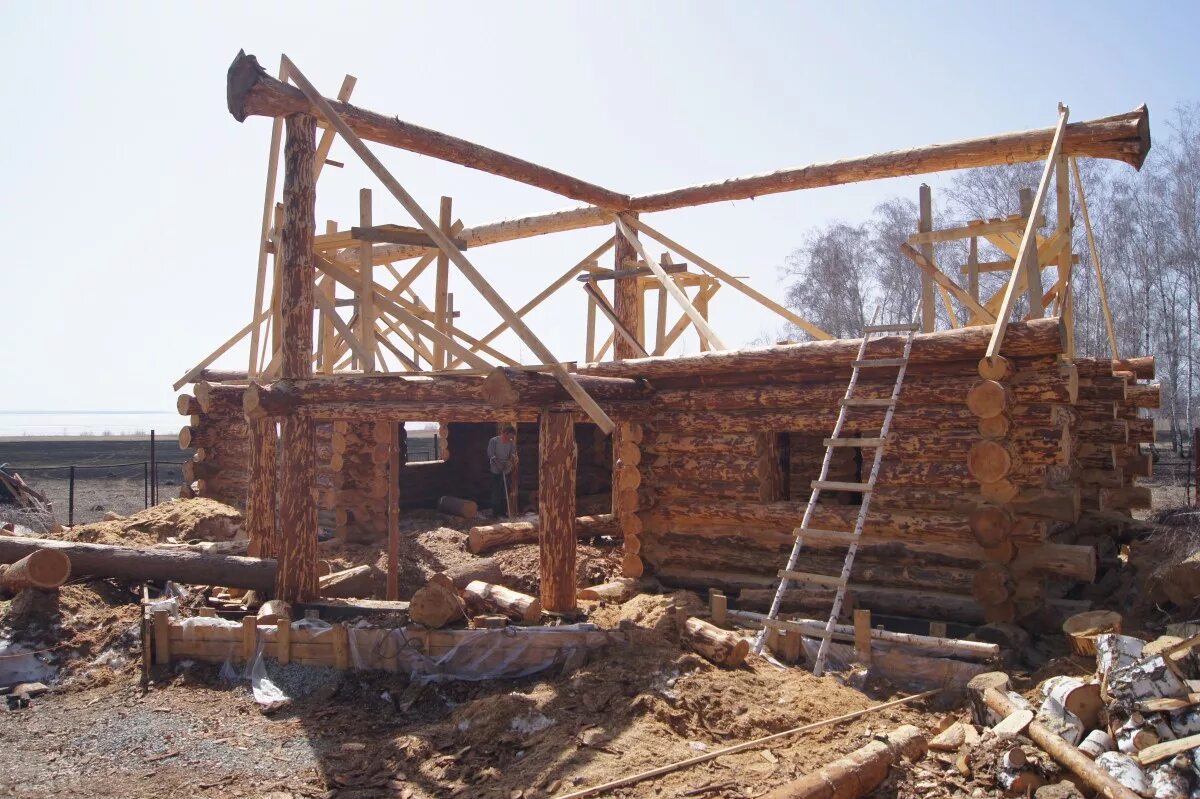 план поселка боровое. эко парк боровое. щурово база отдыха ромашка. экопарк боровое тюмень. боровской сельсовет новосибирского района.