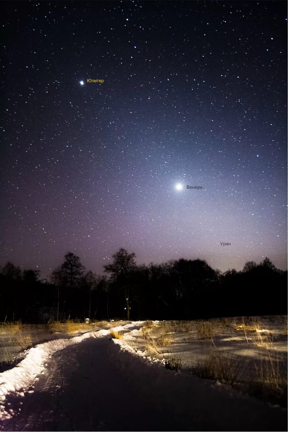 планеты венера и юпитер. какая планета видна ночью. планета венера вечерняя звезда. венера планета на ночном небе. меркурий с земли невооруженным глазом.