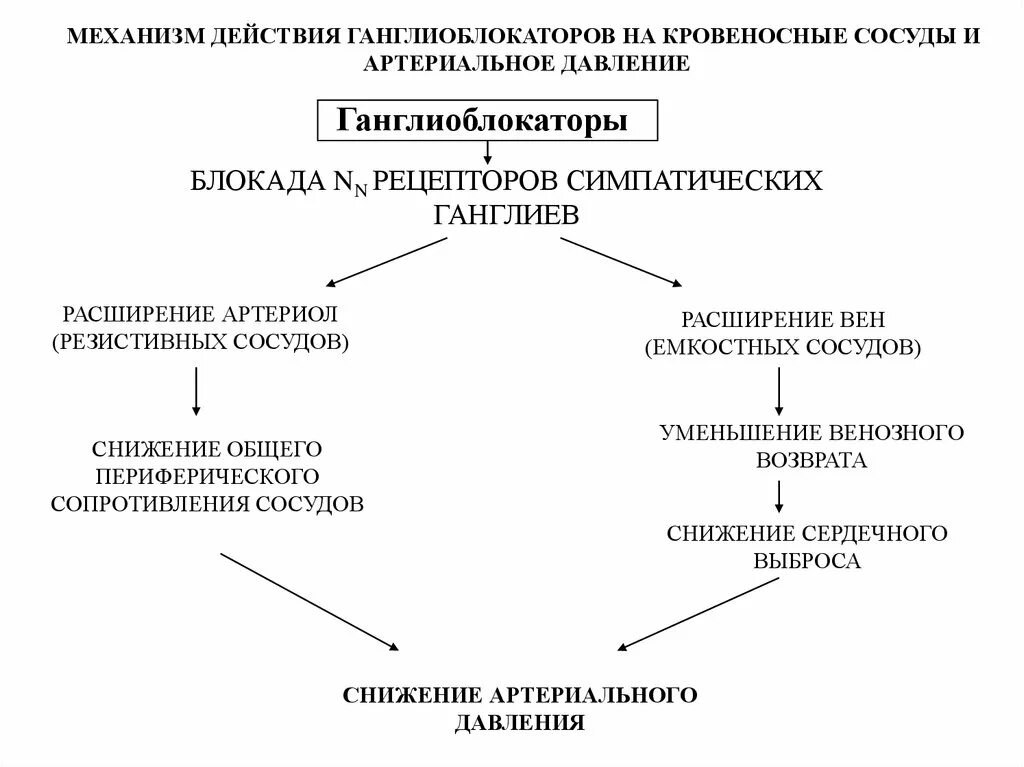 Ганглиоблокаторы механизм действия. Механизм действия ганглиоблокаторов фармакология. Ганглиоблокаторы классификация механизм действия. Ганглиоблокаторы механизм действия. Ганглиоблокаторы механизм действия.