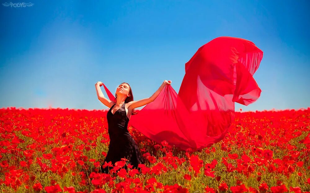 Час радости песня. Счастливая женщина в Красном. Фотосессия в маках. Цветы на счастье. Цветы на ветру.