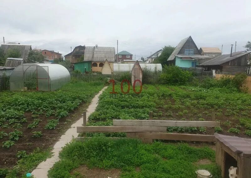 Садоводство 1 зеленогорск. Садоводство 4 зеленогорск красноярский край. 2 садоводство зеленогорск красноярский. Зеленогорск садоводство 1. Зеленогорск садоводство 1.
