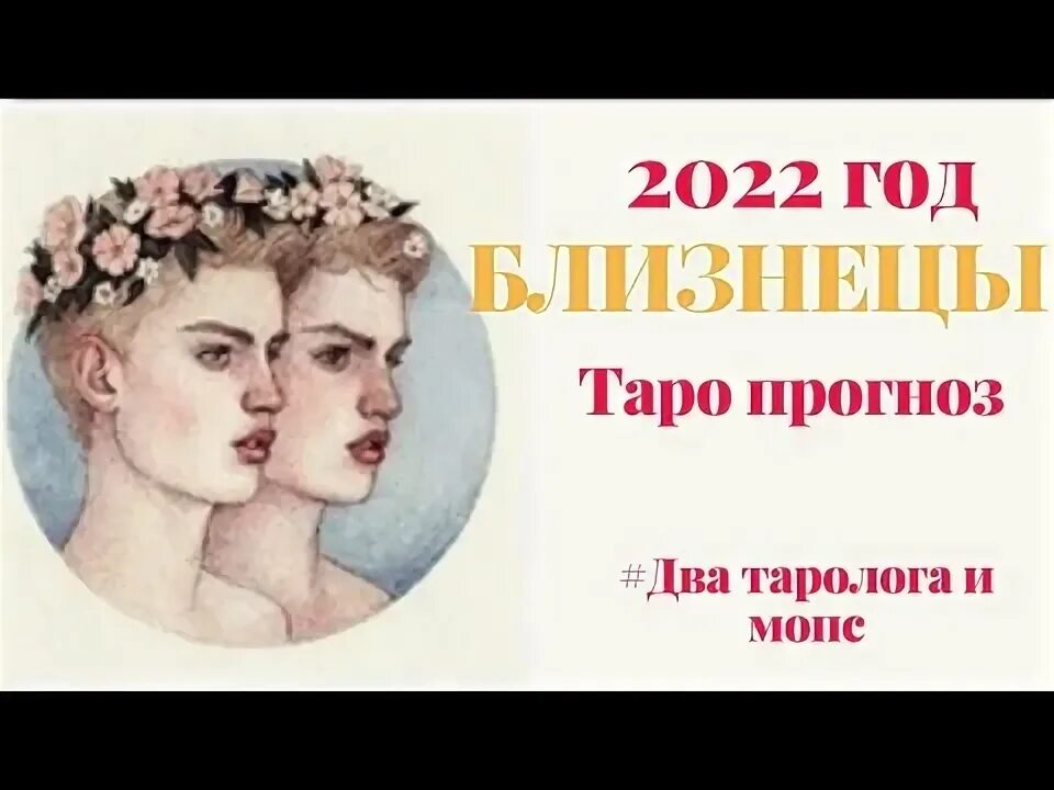 Перл близнецы ноябрь 2025. Перл близнецы ноябрь 2025