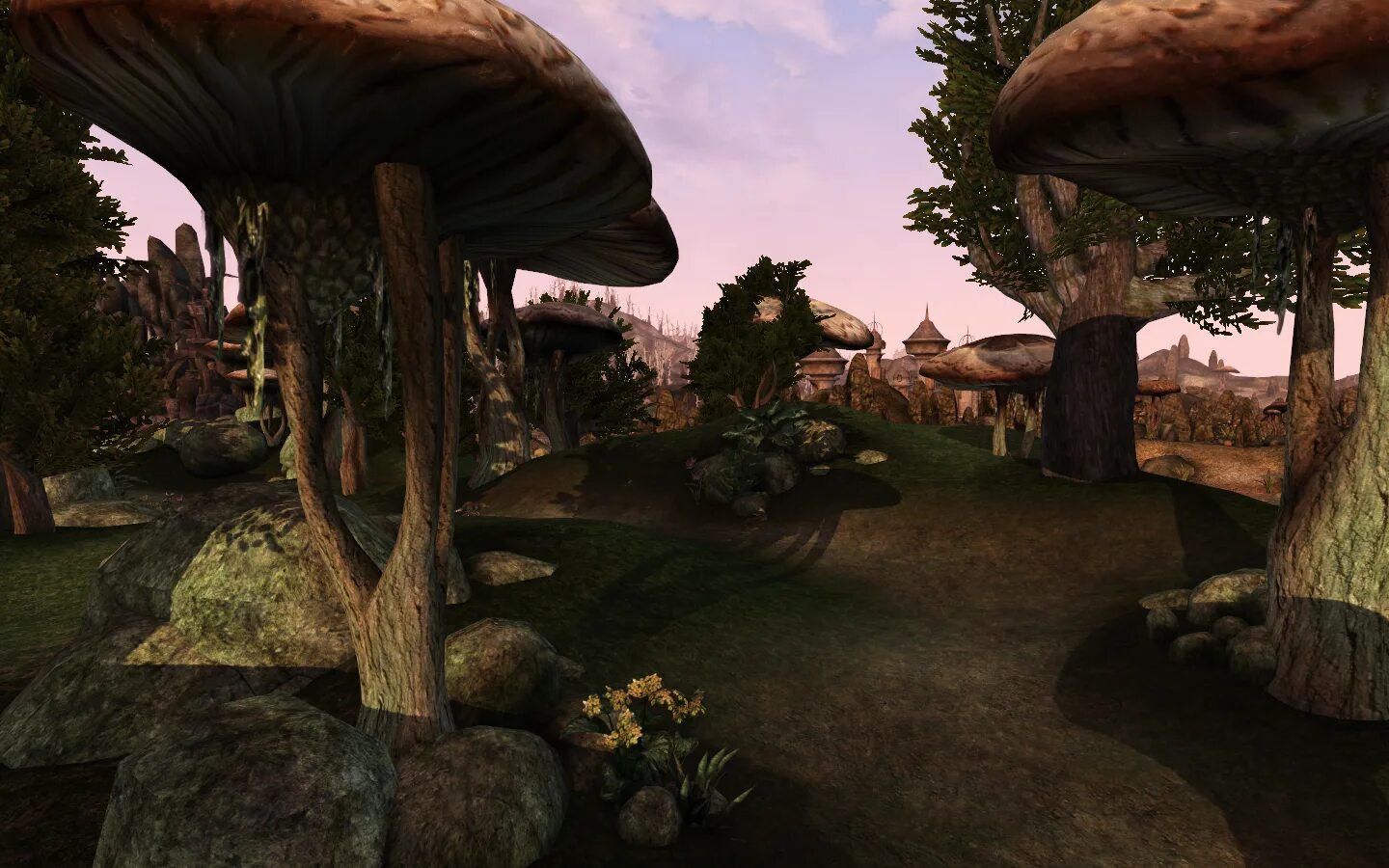 Морровинд лес. The Elder Scrolls III: Morrowind грибы. Морровинд гирибы. Морровинд остров хоркерфэл. Morrowind nexus