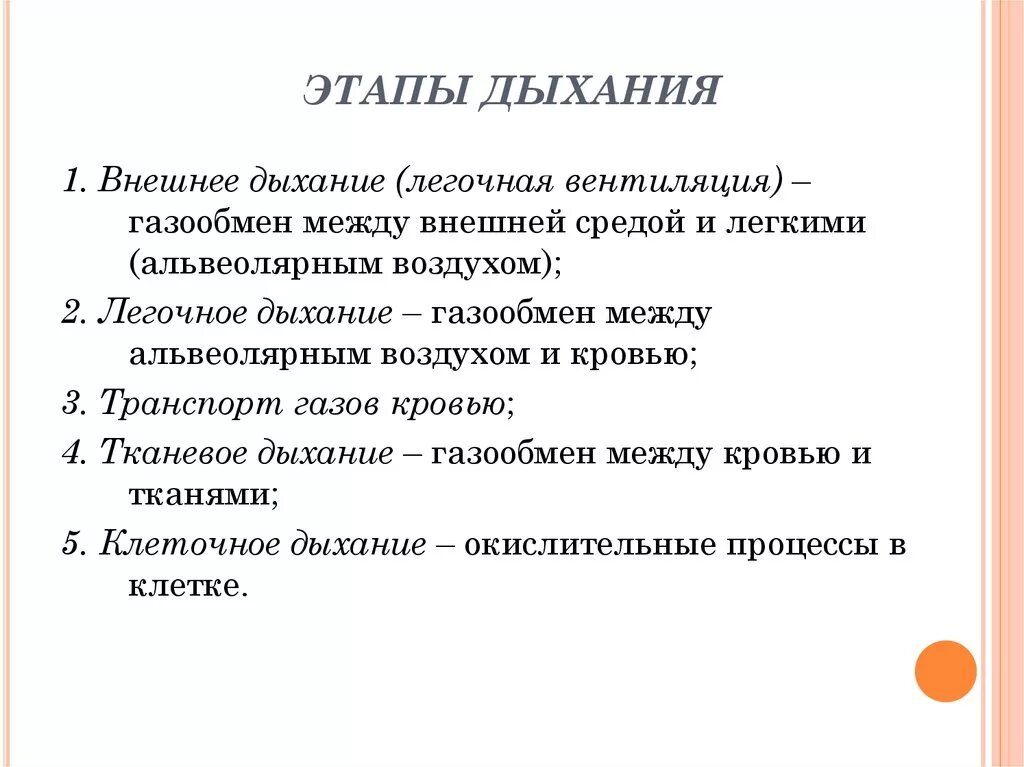 5 фаз дыхания. 5 фаз дыхания. Этапы процесса дыхания. 4. Основные этапы дыхания физиология.
