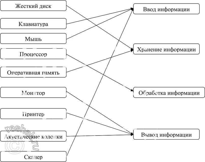 Установите соответствия обработка информации. Установите соответствие процессор мышь жёсткий диск. Установите соответствия между устройствами компьютера и их функции. Установите соответствие между устройствами компьютера и функциями. Ввод вывод хранение обработка информации.