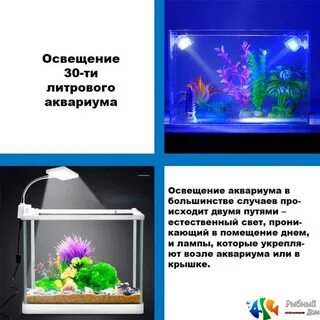 Выключи рыбкам
