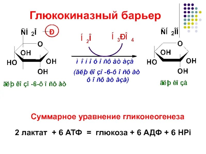 Атф глюкоза адф. Глюкоза АТФ-АДФ. АДФ Глюкоза. Глюкоза АТФ глюкозо-6-фосфат АДФ. Уравнение АТФ.