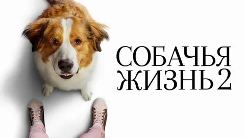 Слушать жизнь собачья