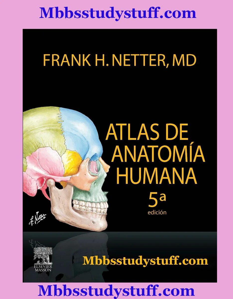 Netter&#039;s atlas. Фрэнк неттер. фрэнк неттер атлас ботаника. неттер атлас. frank netter atlas of human anatomy.