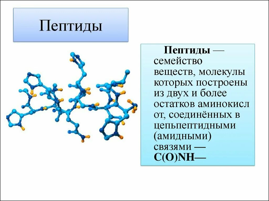 Пептиды. Молекулы пептиды. Пептидная молекула. Пептиды изображения.