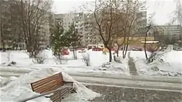 Улица филина