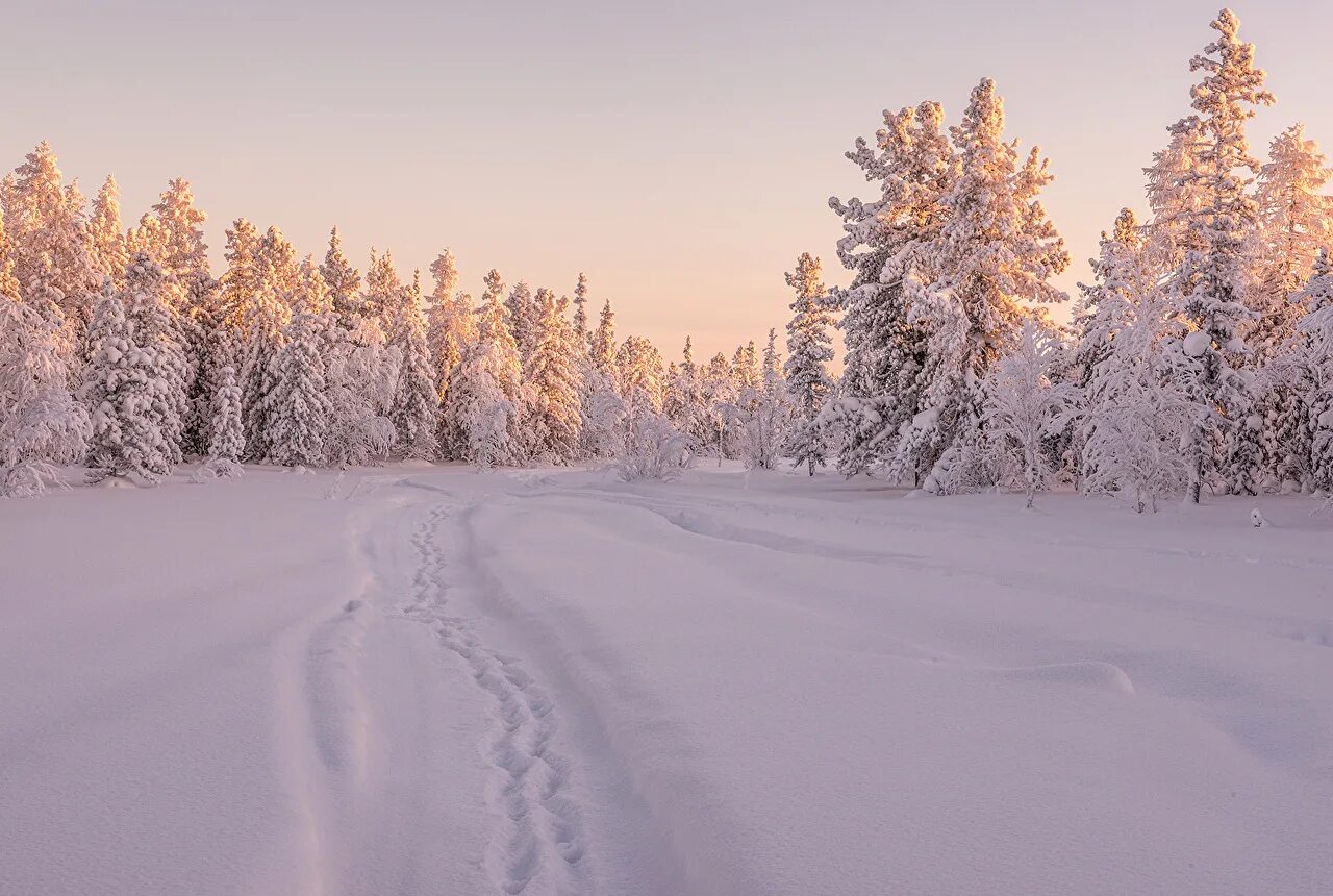 Зимняя пора это время. Зимний пейзаж. Зимний лес. Зимняя пора это время. Зимняя пора это время.