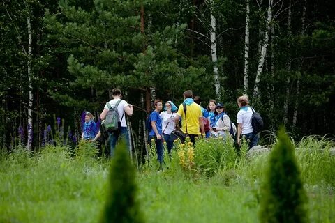 Лосиный остров новости