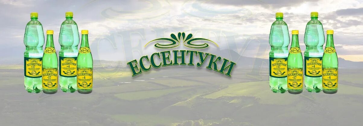 Ессентуки 2 минеральная вода состав. Ессентуки минеральная вода. Лечебная вода Ессентуки 4. Ессентуки 4 минеральная вода. Ессентуки 4 показания.