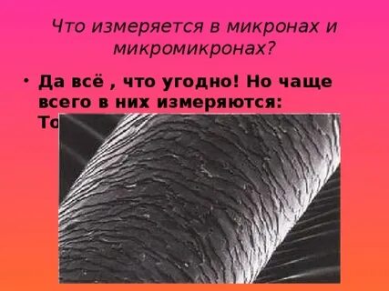Толщина человеческого волоса в мкм