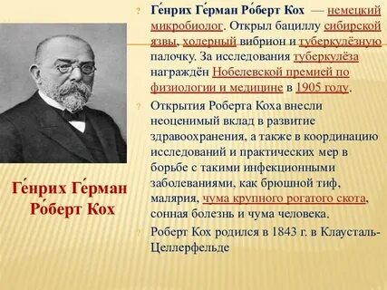 Немецкий ученый кох исследовал инфекционные болезни млекопитающих