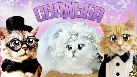 Включи коль