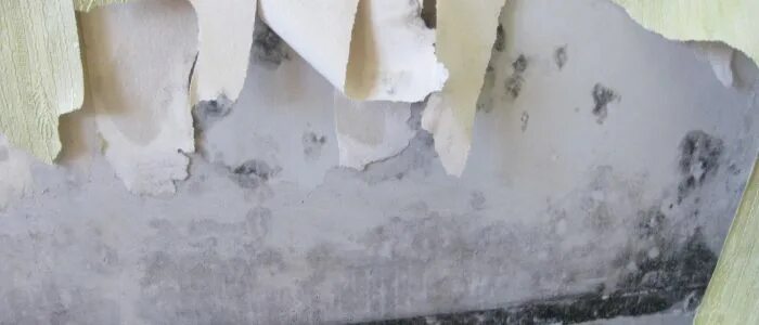 Мокнут углы в доме. Сильно мокнет стена дома. мокнет стена над козырьком. начал мокнуть угол дома.