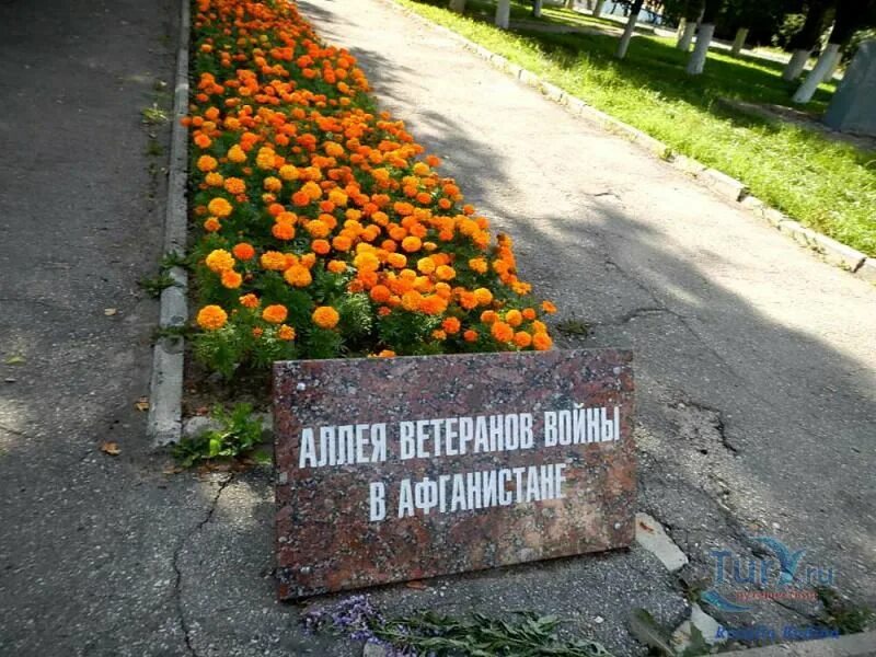 В Ульяновске восстановят сквер "Айболит", а в парк Маргелова привезут боевую тех