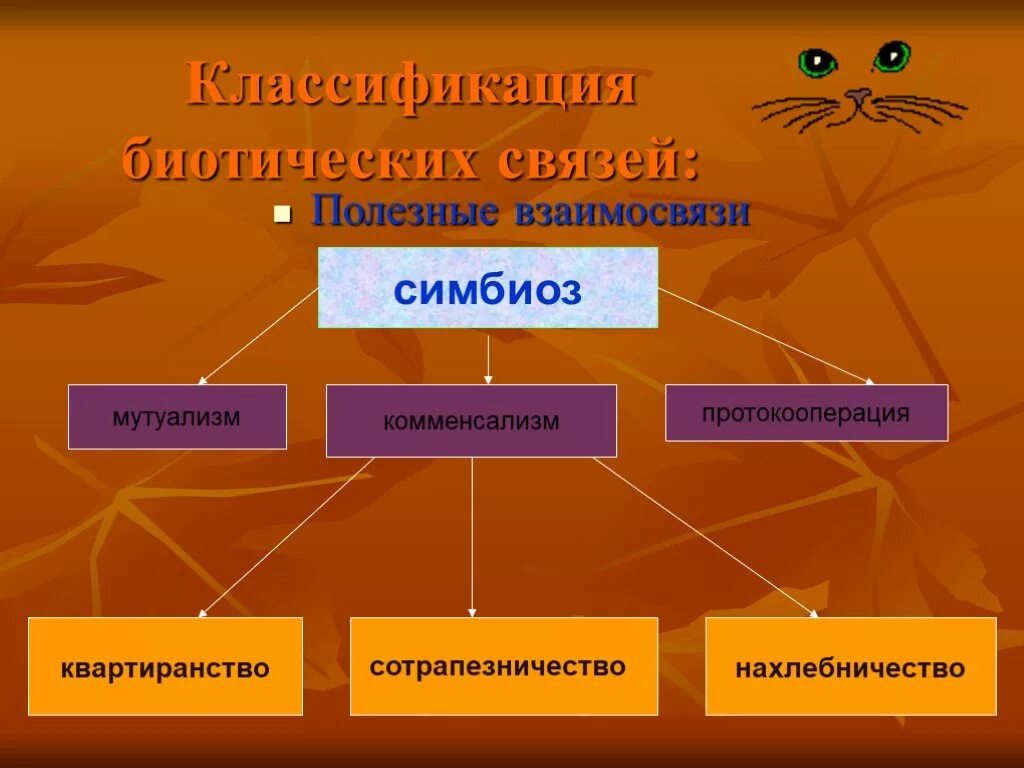 Биологические связи в природе. Формы взаимоотношений организмов в природе. Классификация биотических связей. Симбиоз классификация. Типы взаимоотношений симбиоз схема.