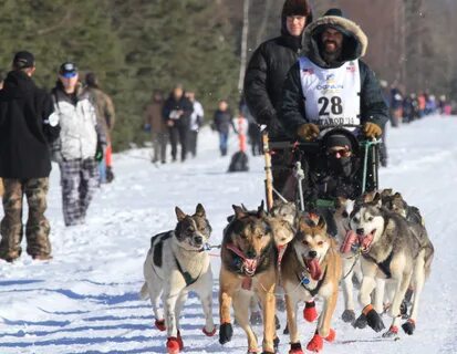 Sled race