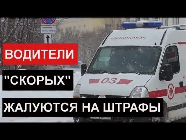 Водителям скорой помощи повысят зарплату. Водителям скорой помощи поднимут зарплаты. Котенок водитель скорой.