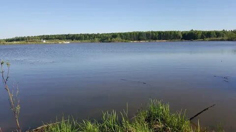 Волгогаз бор