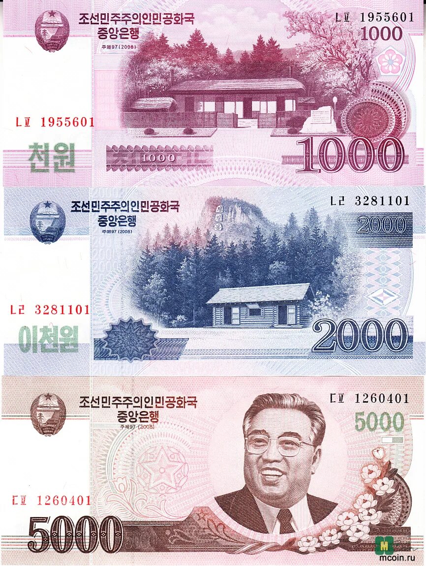 Валюта Южной Кореи купюры. Денежная валюта Южной Кореи. Деньги Северной Кореи. Валюта КНДР.