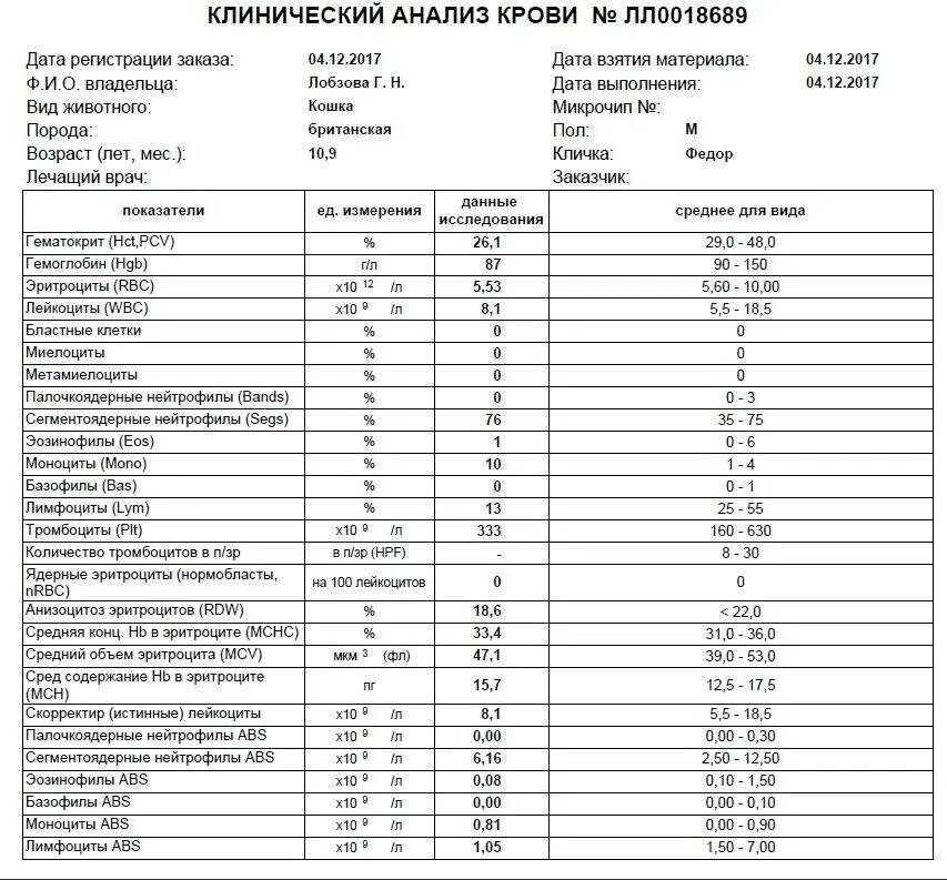 Эритроциты повышены у кота. Нормы биохимического анализа крови у кошек. показатели биохимического анализа крови кошек. биохимический анализ крови кота норма. общий анализ крови кота показатели норма.