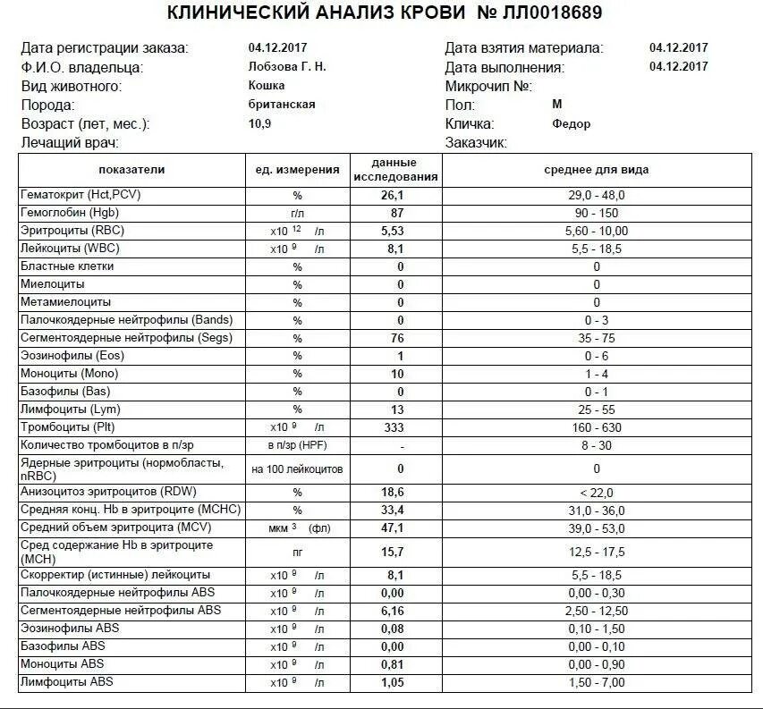 Нормы биохимического анализа крови у кошек. Биохимический анализ крови кота норма. Общий анализ крови кота показатели норма. Анализ биохимия крови у кошки норма. Лимфоциты повышены кошка