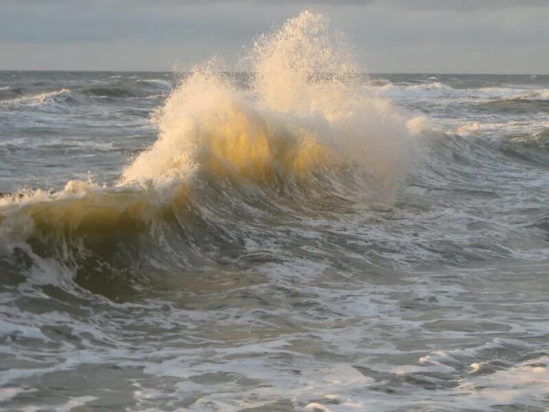 Волна зеленоградск. Море волны Балтика. Балтийская волна. «Волна» на побережье Балтики. Балтийское море волны сейчас.