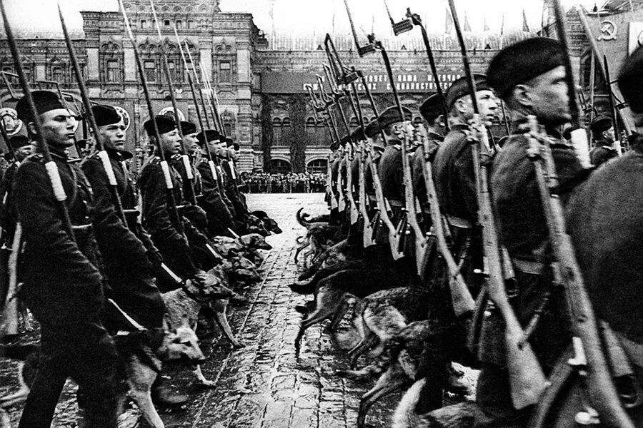 1 июня 1945 г. Парад Победы 24 июня 1945 года. Джульбарс на параде Победы 1945. Джульбарс на красной площади 1945. Парад Победы 1945 пес Джульбарс.