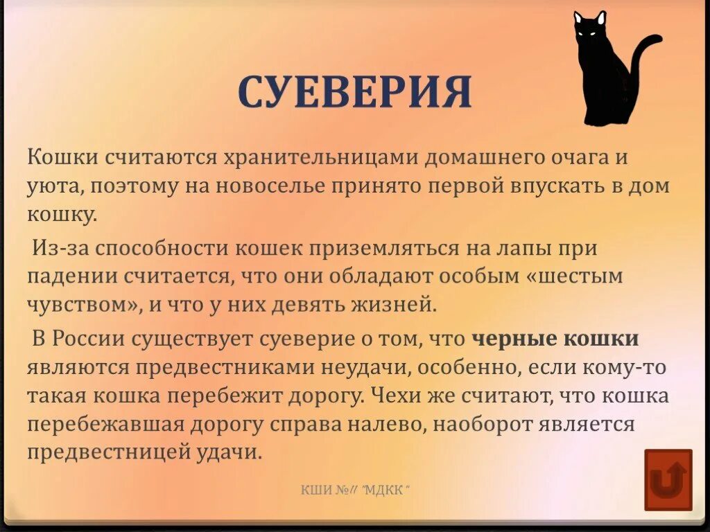 Способности кошек. Суеверия о кошках. Уникальные способности кошек. Кот для презентации. Кошки способны