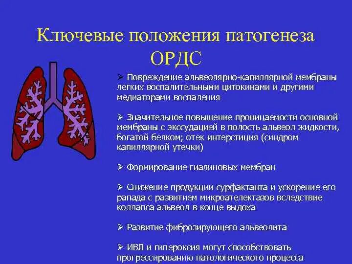 Развитие альвеолярных легких. Схлопывание альвеол в легких. альвеолярное повреждение легких. альвеолярная стадия развития легких.