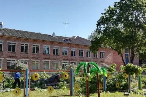 Сосновый бор себежский