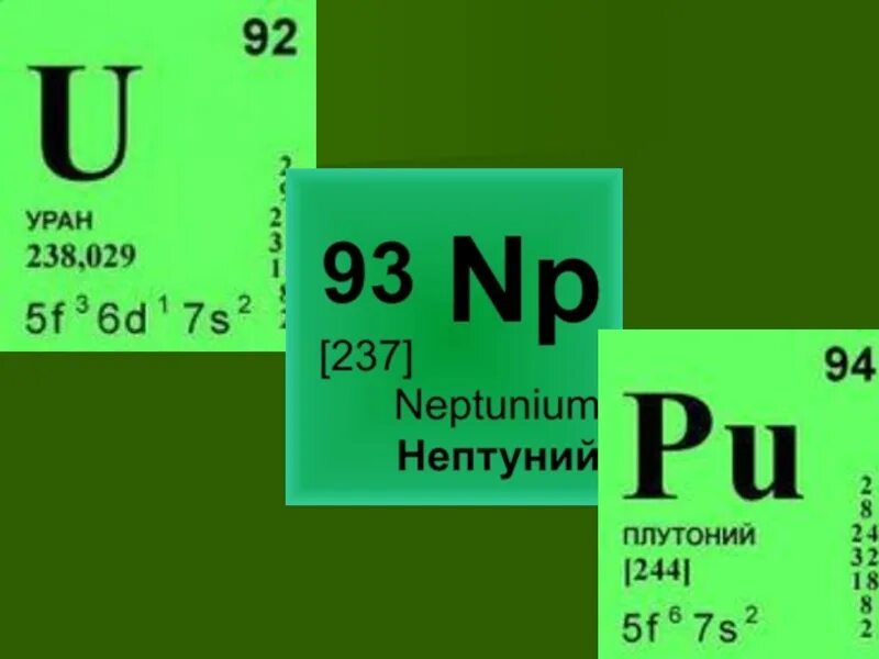 Уран элемент 235. Плутоний 239 таблица Менделеева. Уран 238 нептуний 239 плутоний 239. Уран элемент таблицы Менделеева. Уран в таблице Менделеева.